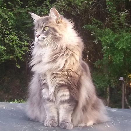 Hugoren Egoitza Zubialde Bagian luar foto
