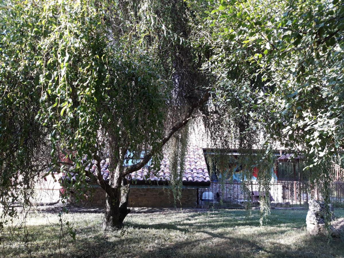 Hugoren Egoitza Zubialde Bagian luar foto