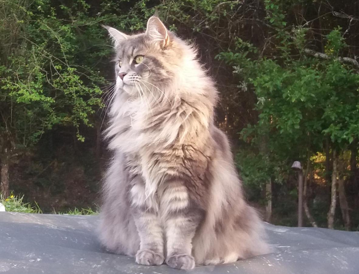 Hugoren Egoitza Zubialde Bagian luar foto
